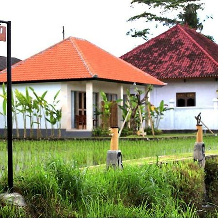 Padi Guest House Desa Desa Keramas Exteriör bild